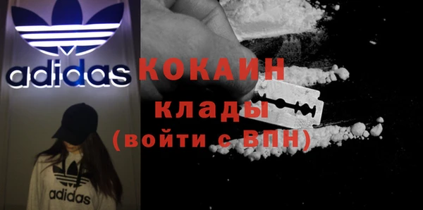 сатива Козельск