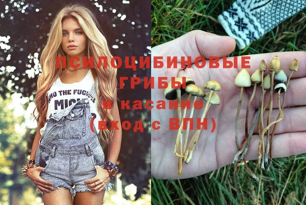 дживик Алапаевск