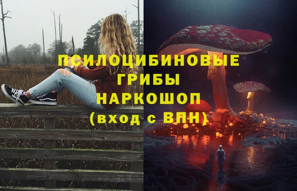 скорость Козловка