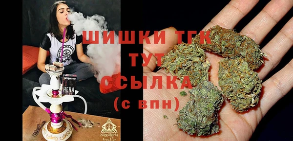 хмурый Кодинск