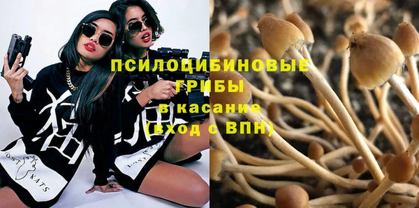 хмурый Кодинск