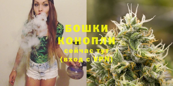 ПСИЛОЦИБИНОВЫЕ ГРИБЫ Карпинск