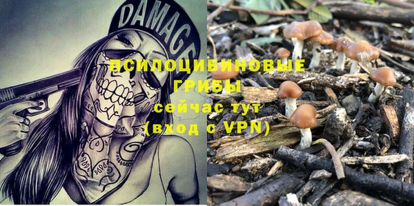 MDMA Карталы