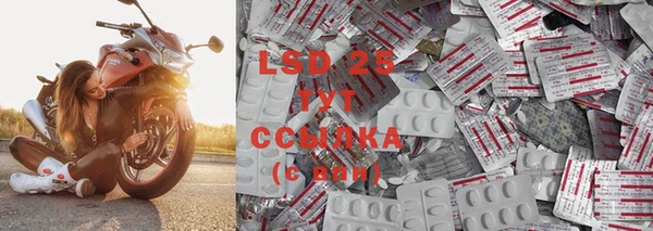 ПСИЛОЦИБИНОВЫЕ ГРИБЫ Карпинск