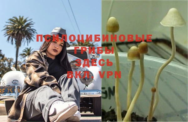 дживик Алапаевск