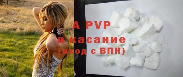 хмурый Кодинск